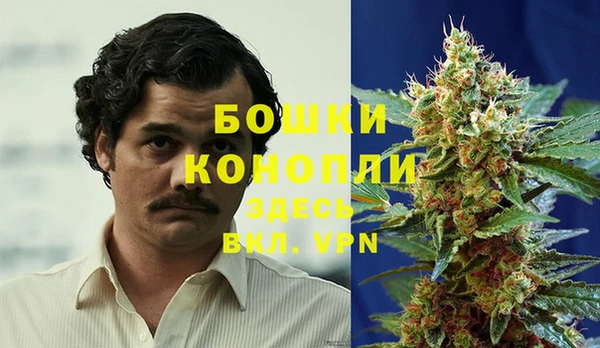 шишки Зеленодольск