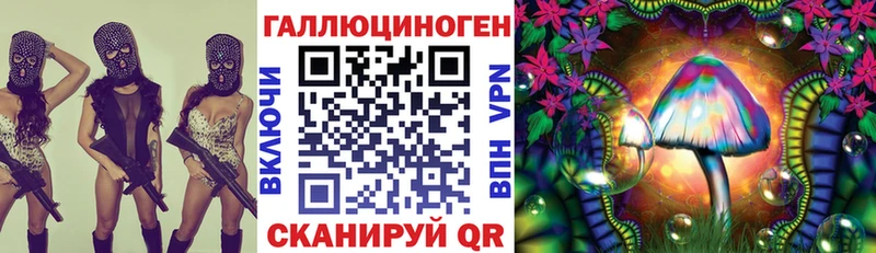 Псилоцибиновые грибы Psilocybe  где продают   Лахденпохья 